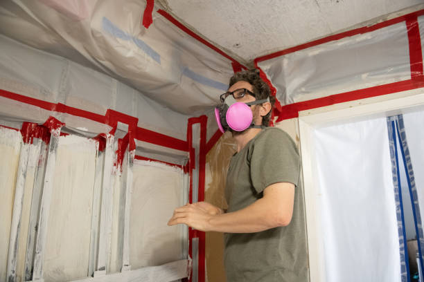 Best Attic Mold Removal  in Winters, CA