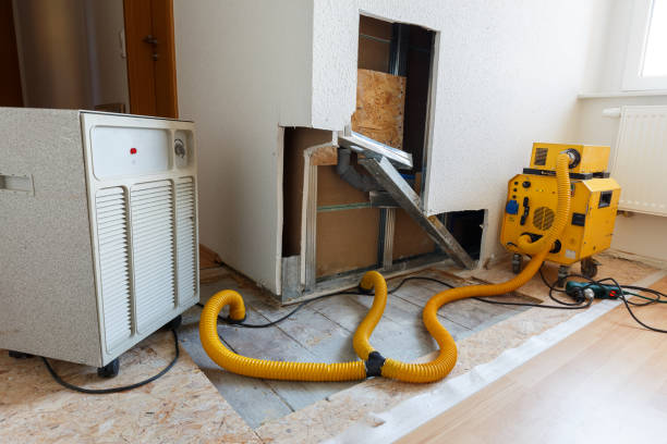 Forensic Mold Investigation in Winters, CA